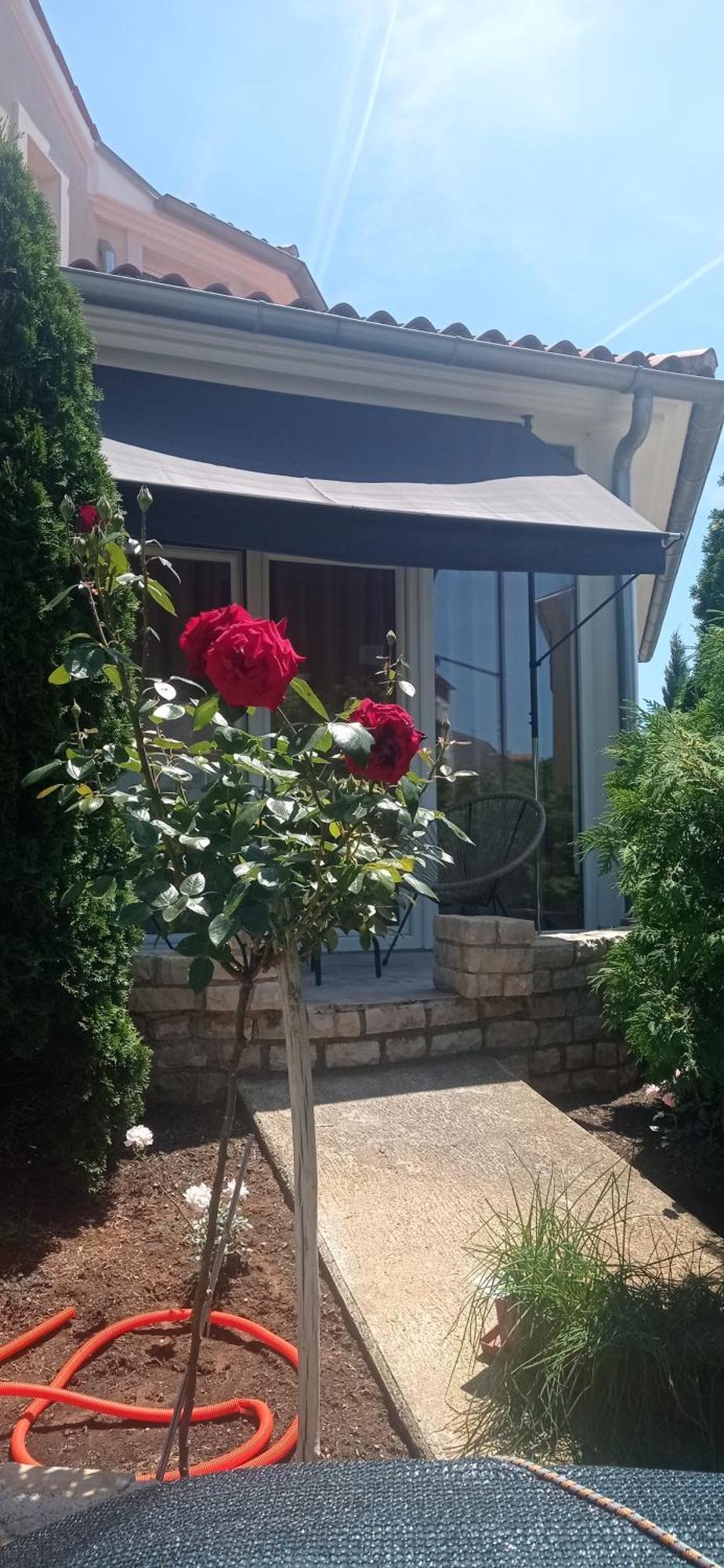 Villa Gregovica &T 2 Pula Luaran gambar